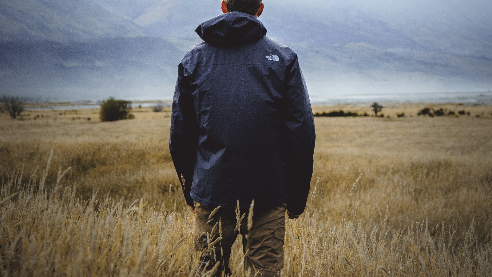 Collecting Field Data on a Phone: A Practical Guide